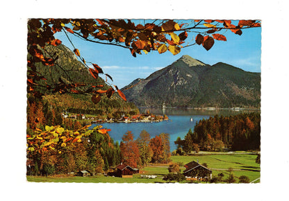 Ansichtskarte Walchensee gegen Jochberg