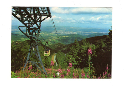 Ansichtskarte Schauinsland / Schwarzwald