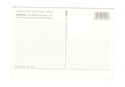 Ansichtskarte Saalfelden / Salzburger Land / Österreich