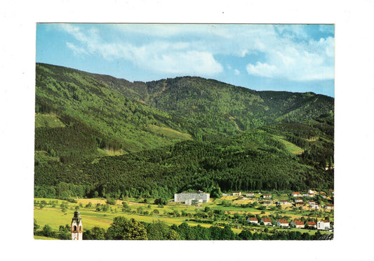 Ansichtskarte Waldkirch im Schwarzwald / H1-51