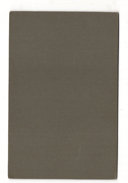 Fotografie Feine Dame mit kleinem Jungen und Baby - Hannover um 1910