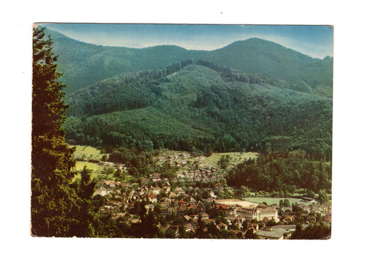 Ansichtskarte Waldkirch im Schwarzwald / Blick zum Wildgehege / H1-51