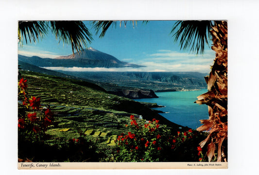 Ansichtskarte Teneriffa / Spanien