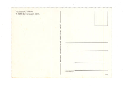 Ansichtskarte Planneralm / Donnersbach / Steiermark / Österreich