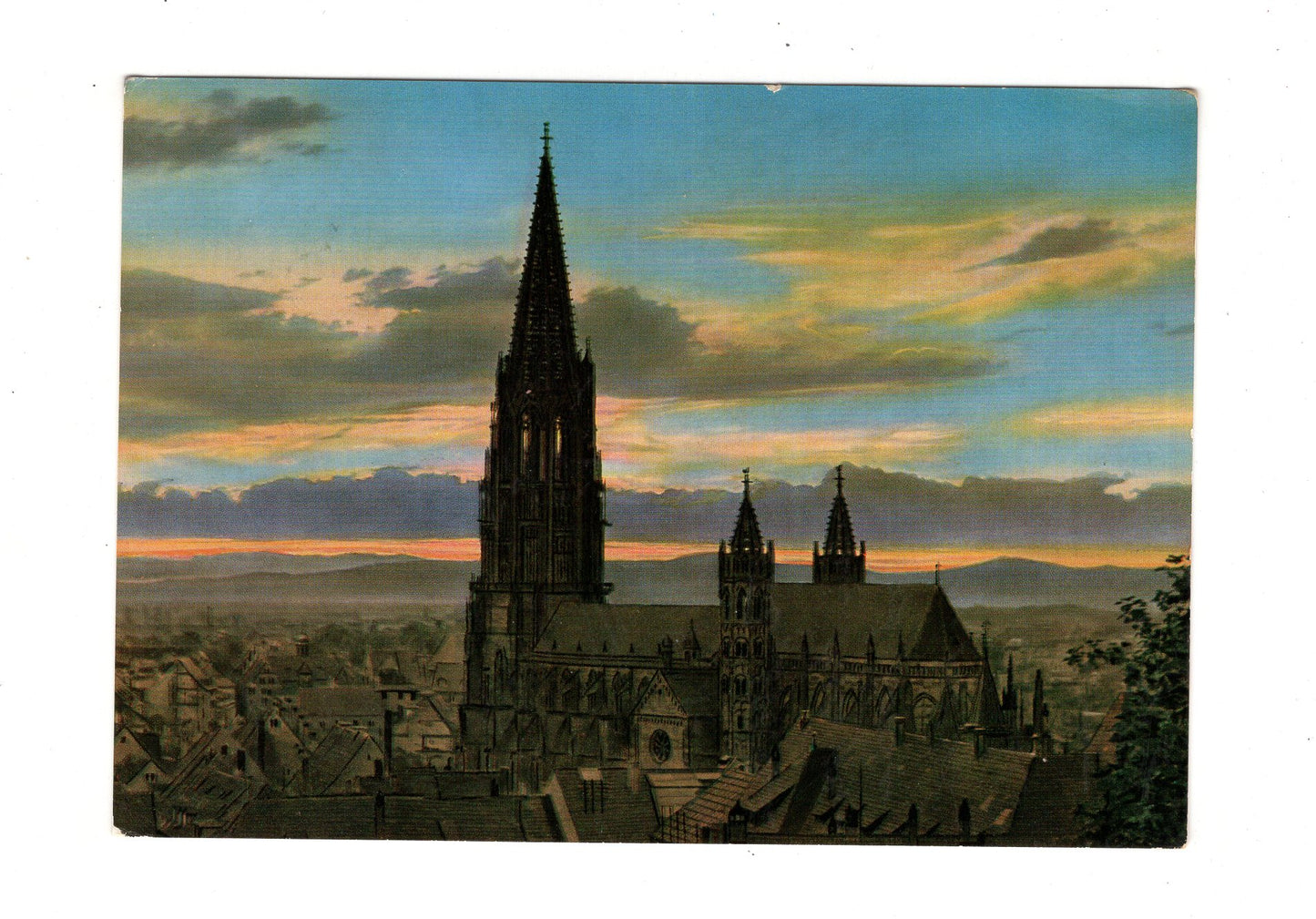 Ansichtskarte Freiburg im Breisgau / Münster