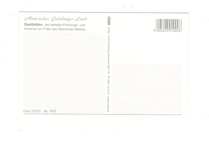 Ansichtskarte Saalfelden / Salzburger Land / Österreich