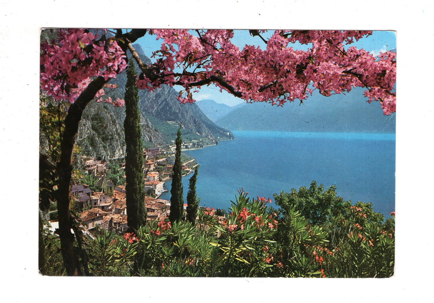 Ansichtskarte Lago di Garda / Limone / Italien