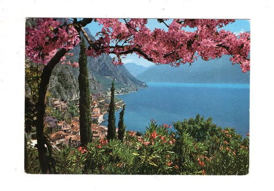 Ansichtskarte Lago di Garda / Limone / Italien
