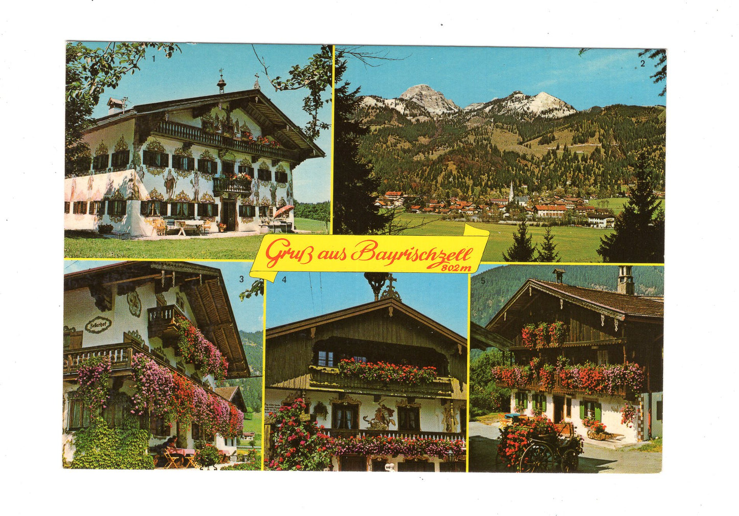 Ansichtskarte Bayrischzell / Oberbayern / Jodlerhof +++