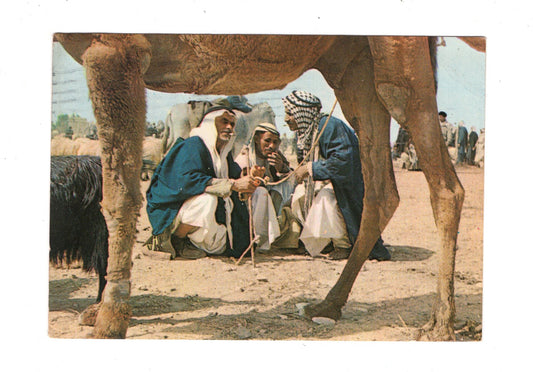 Ansichtskarte Beer Sheba - Market Day / Israel