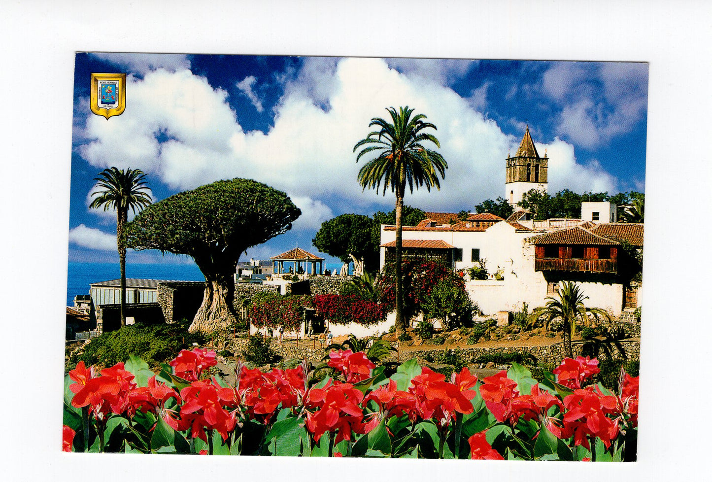 Ansichtskarte Icod de los Vinos / Teneriffa / Spanien