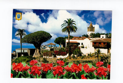 Ansichtskarte Icod de los Vinos / Teneriffa / Spanien