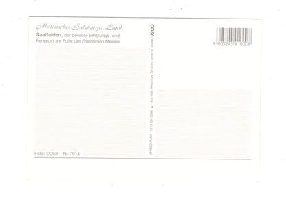 Ansichtskarte Saalfelden / Salzburger Land / Österreich