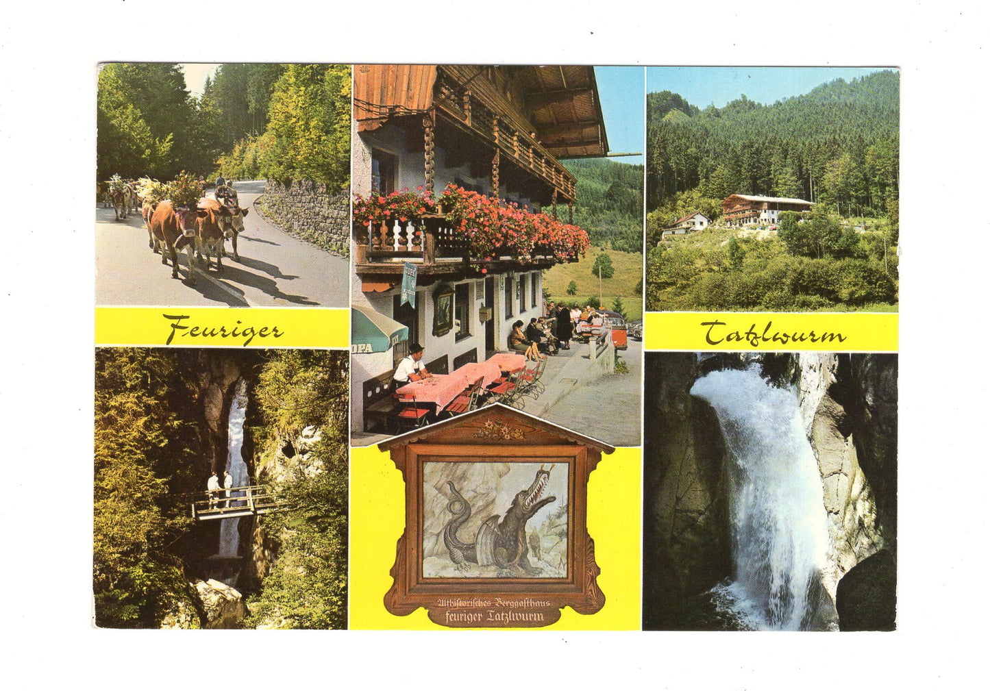 Ansichtskarte Gaststätte Zum feurigen Tatzelwurm / Bayrischzell / Oberbayern