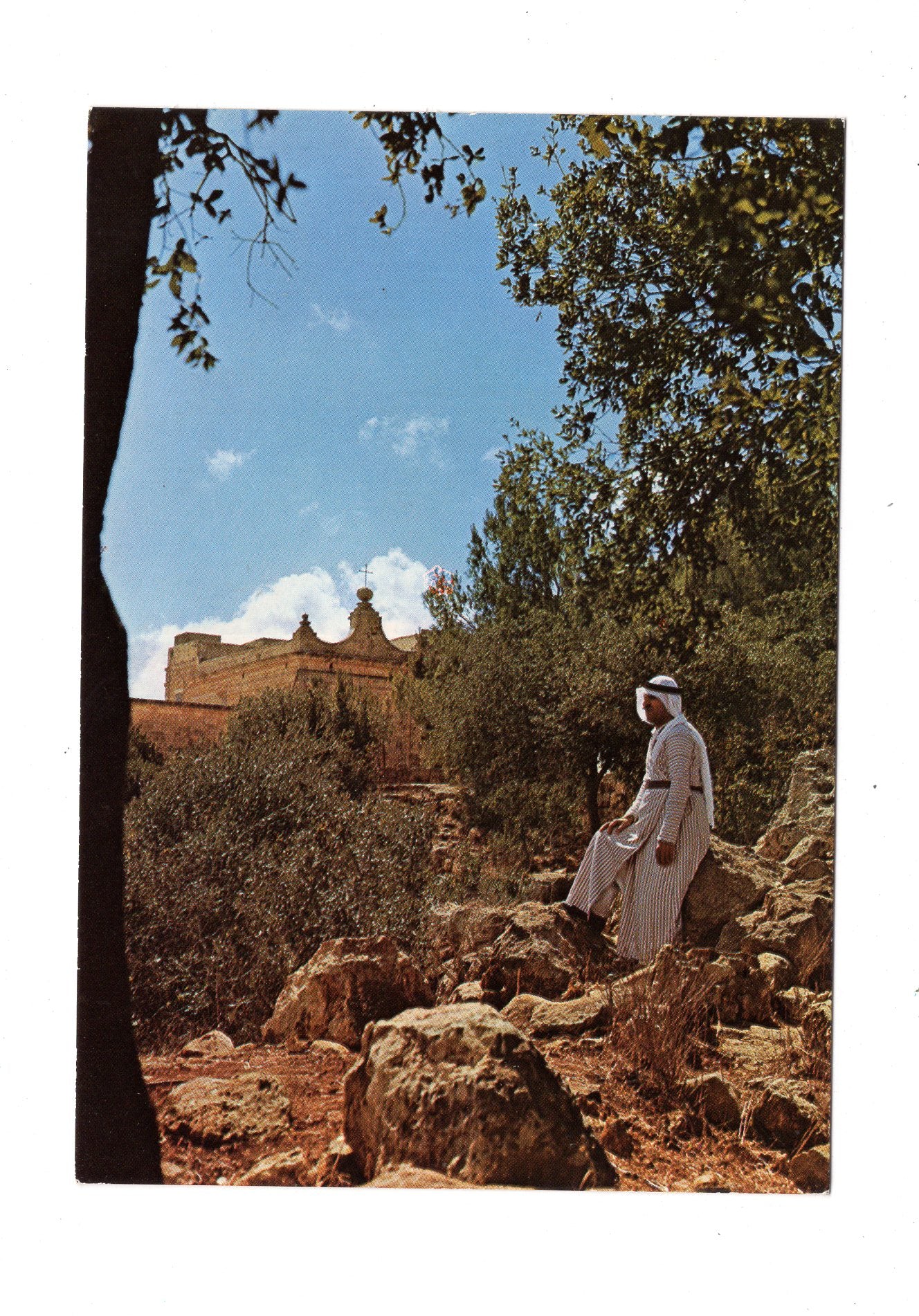 Ansichtskarte Am Berg Karmel / Israel