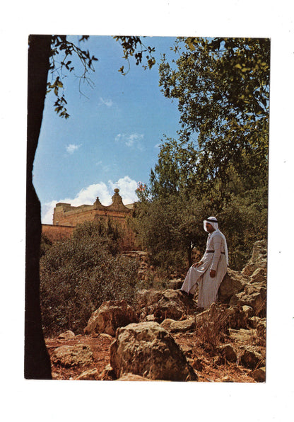 Ansichtskarte Am Berg Karmel / Israel