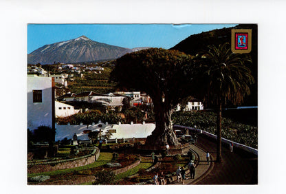 Ansichtskarte Icod de los Vinos / Teneriffa / Spanien