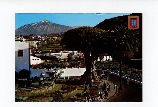 Ansichtskarte Icod de los Vinos / Teneriffa / Spanien