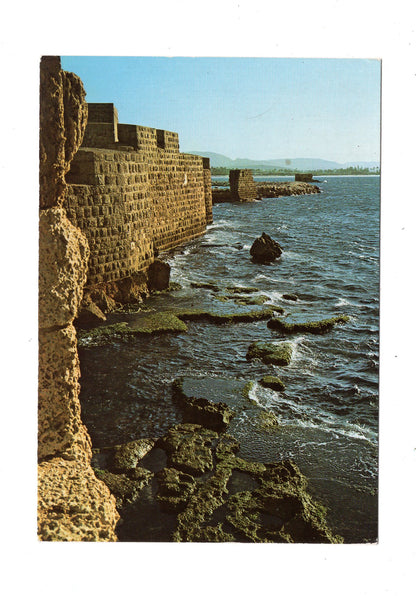 Ansichtskarte Stadtmauer von Akko am Mittelmeer / Israel