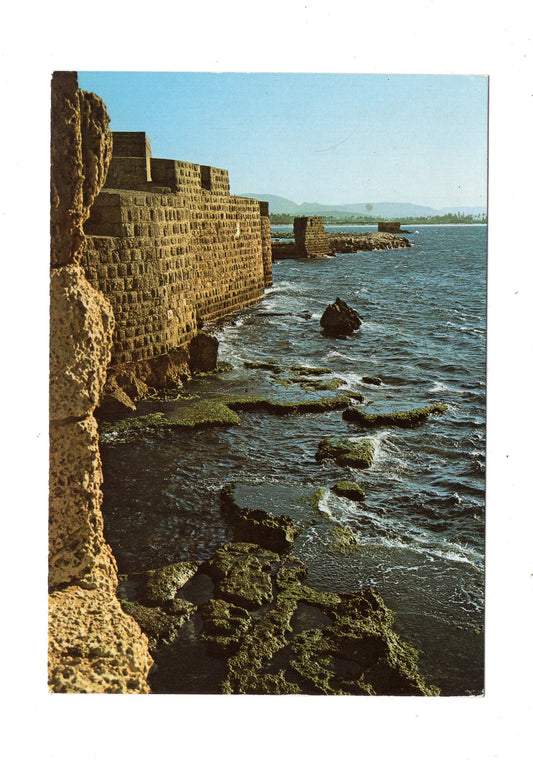 Ansichtskarte Stadtmauer von Akko am Mittelmeer / Israel
