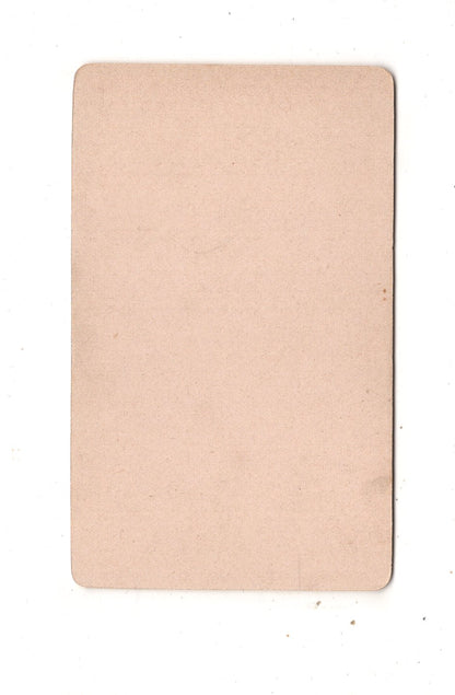 Fotografie Feine Dame - Auerbach im Vogtland 1890er