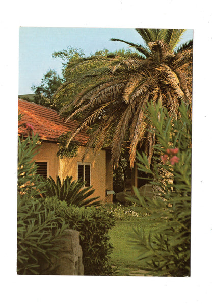 Ansichtskarte Kibbuz Shavei Zion / Israel