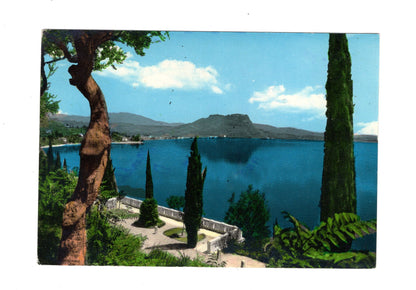 Ansichtskarte Lago di Garda / Belvedere / Italien