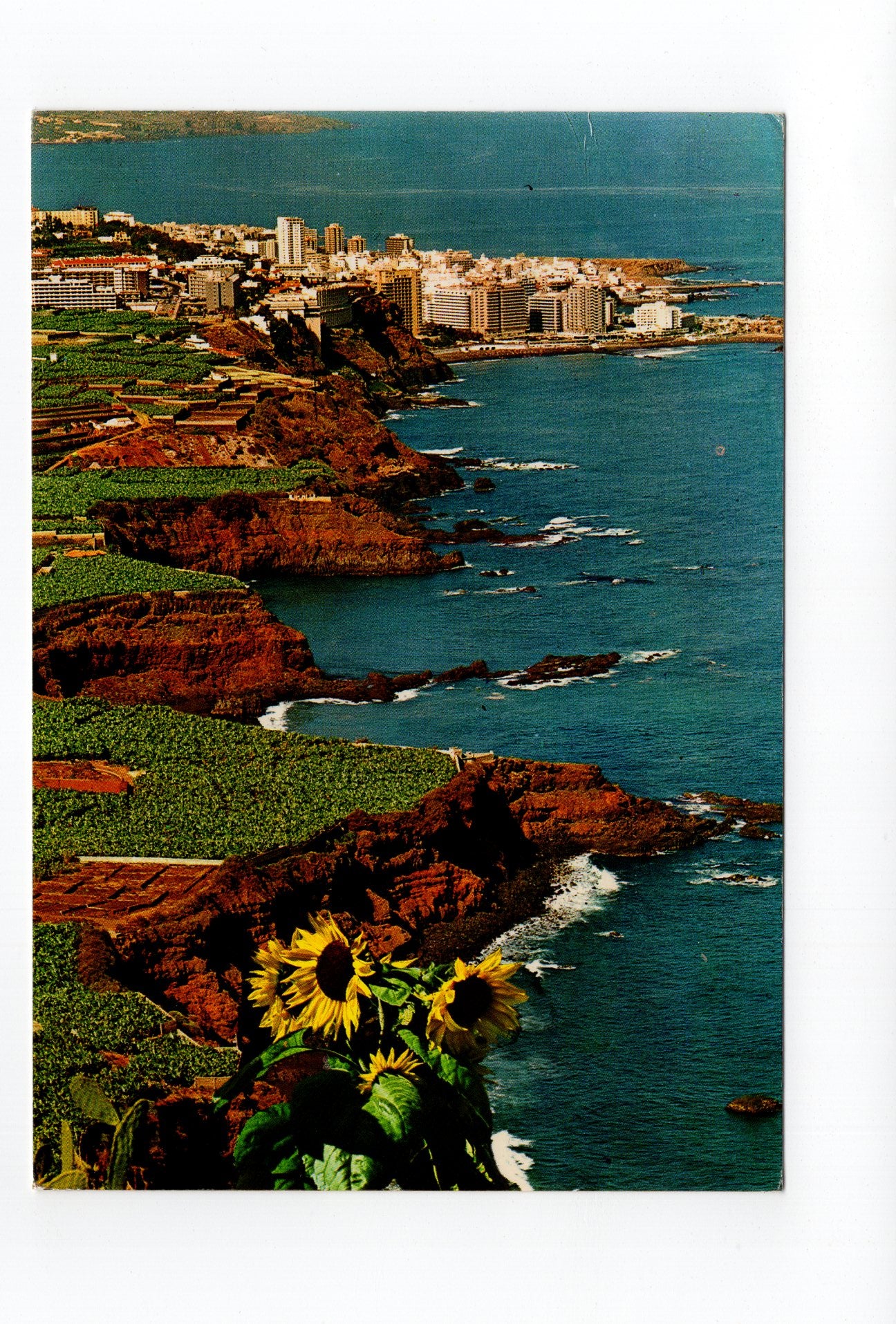 Ansichtskarte Puerto de la Cruz / Teneriffa / Spanien