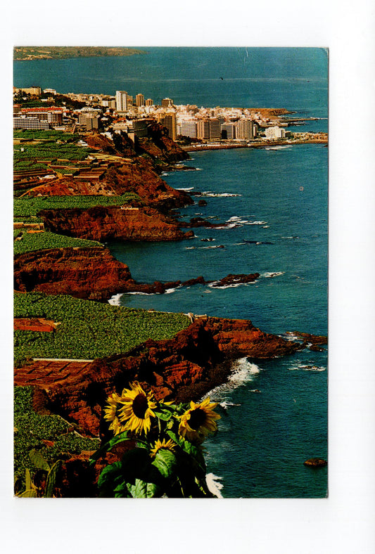 Ansichtskarte Puerto de la Cruz / Teneriffa / Spanien