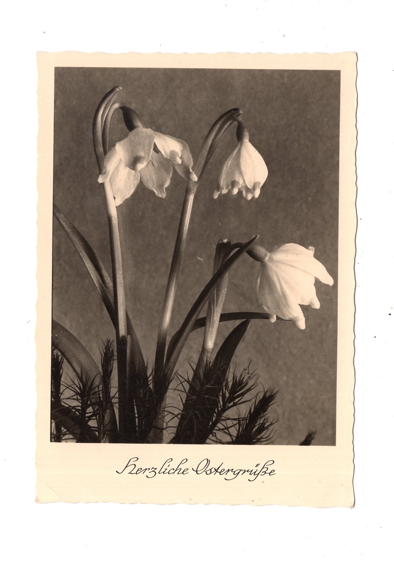 Ansichtskarte Feiertage / Frohe Ostern / L1-53