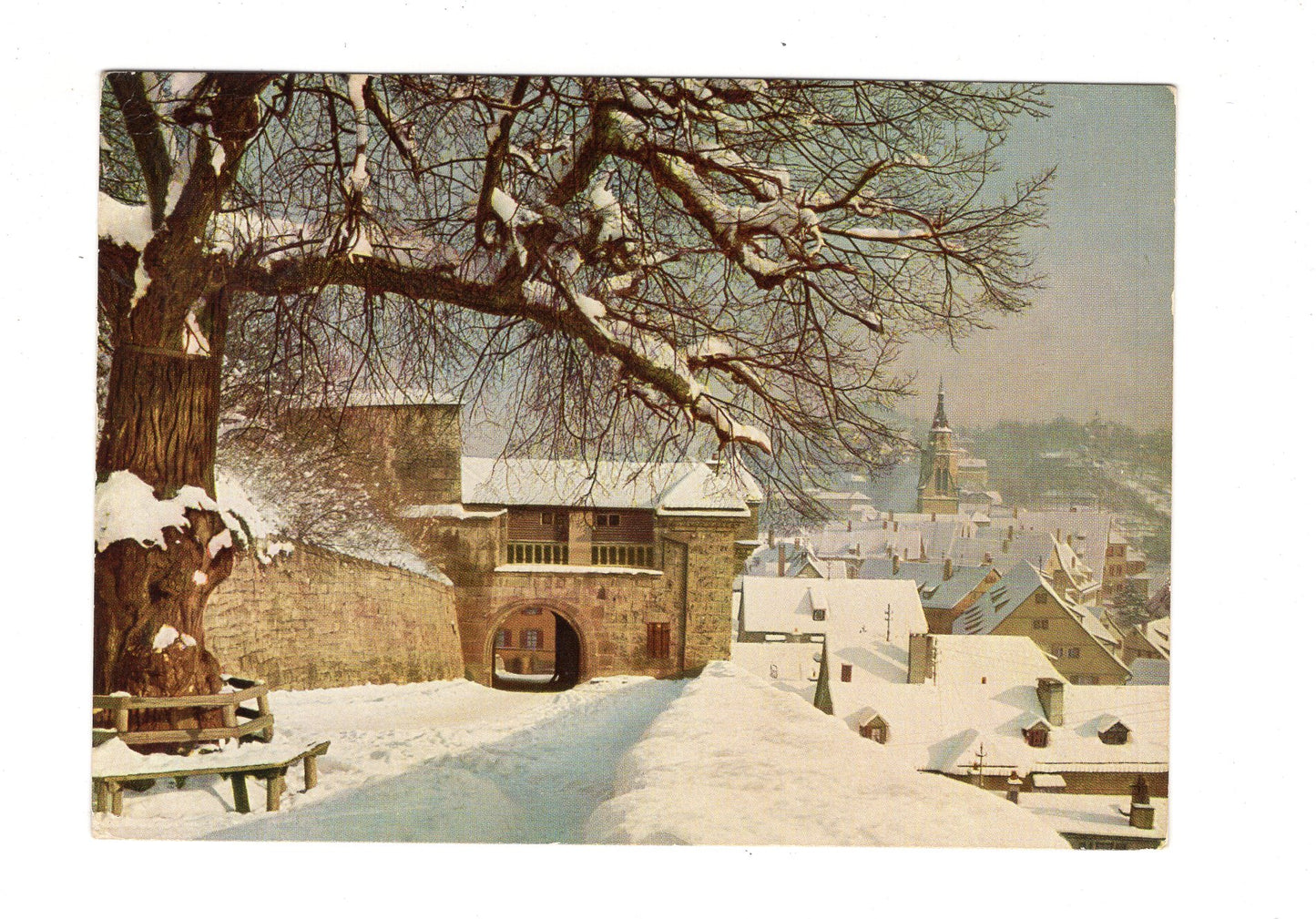 Ansichtskarte Tübingen / Blick von der Schlosslinde / H1-68