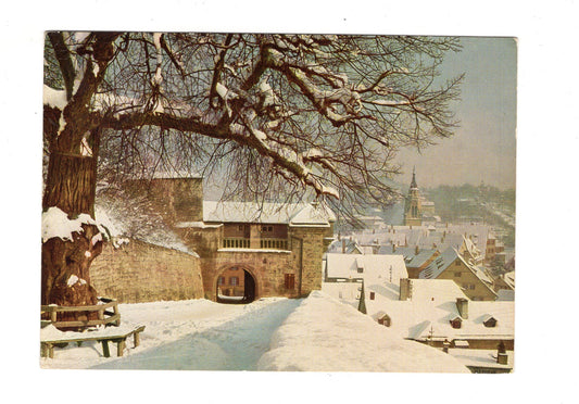 Ansichtskarte Tübingen / Blick von der Schlosslinde / H1-68