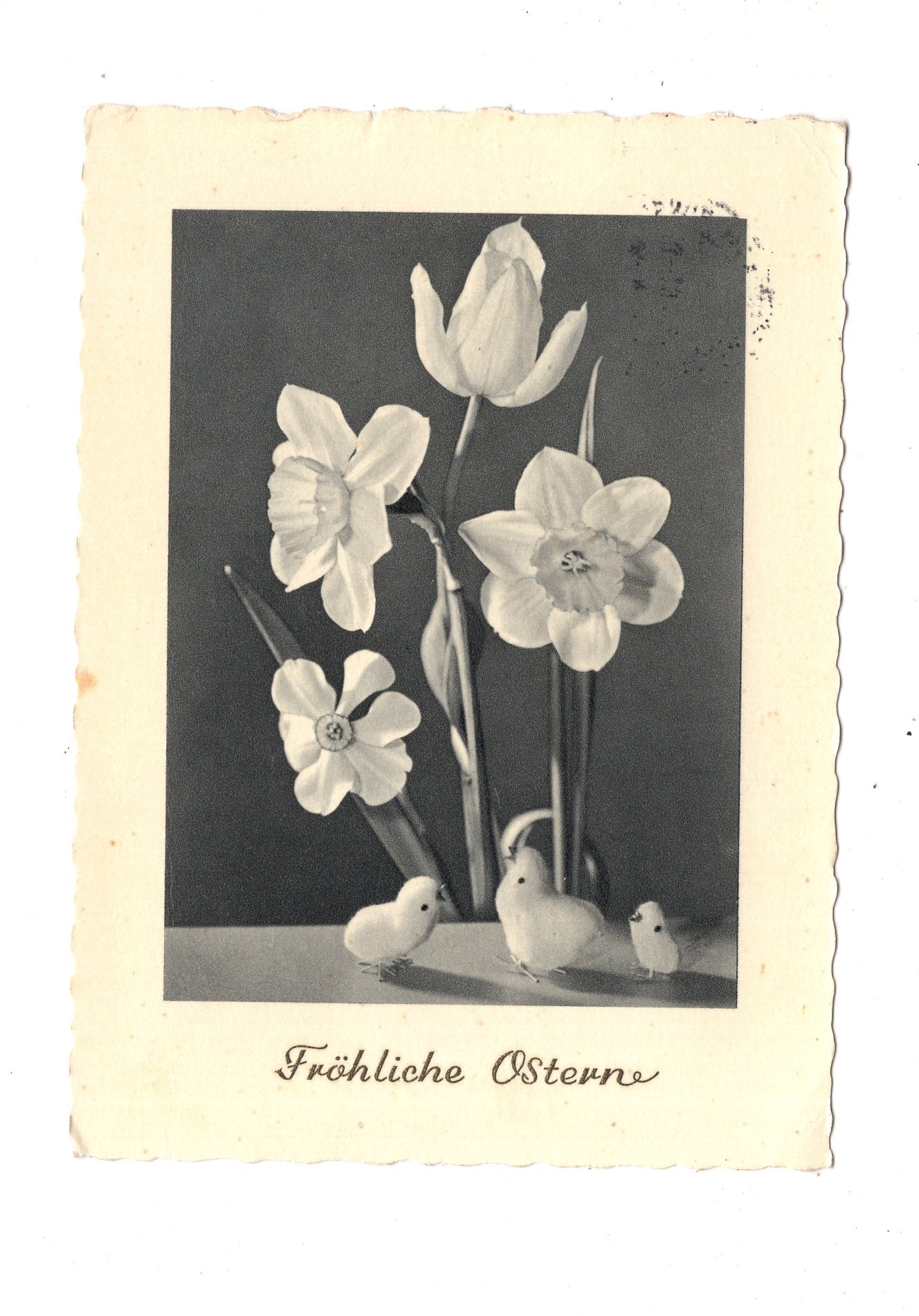 Ansichtskarte Feiertage / Frohe Ostern / L1-53