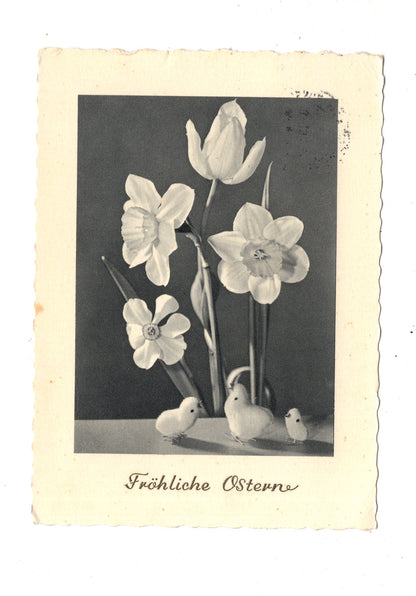 Ansichtskarte Feiertage / Frohe Ostern / L1-53