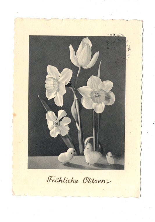 Ansichtskarte Feiertage / Frohe Ostern / L1-53