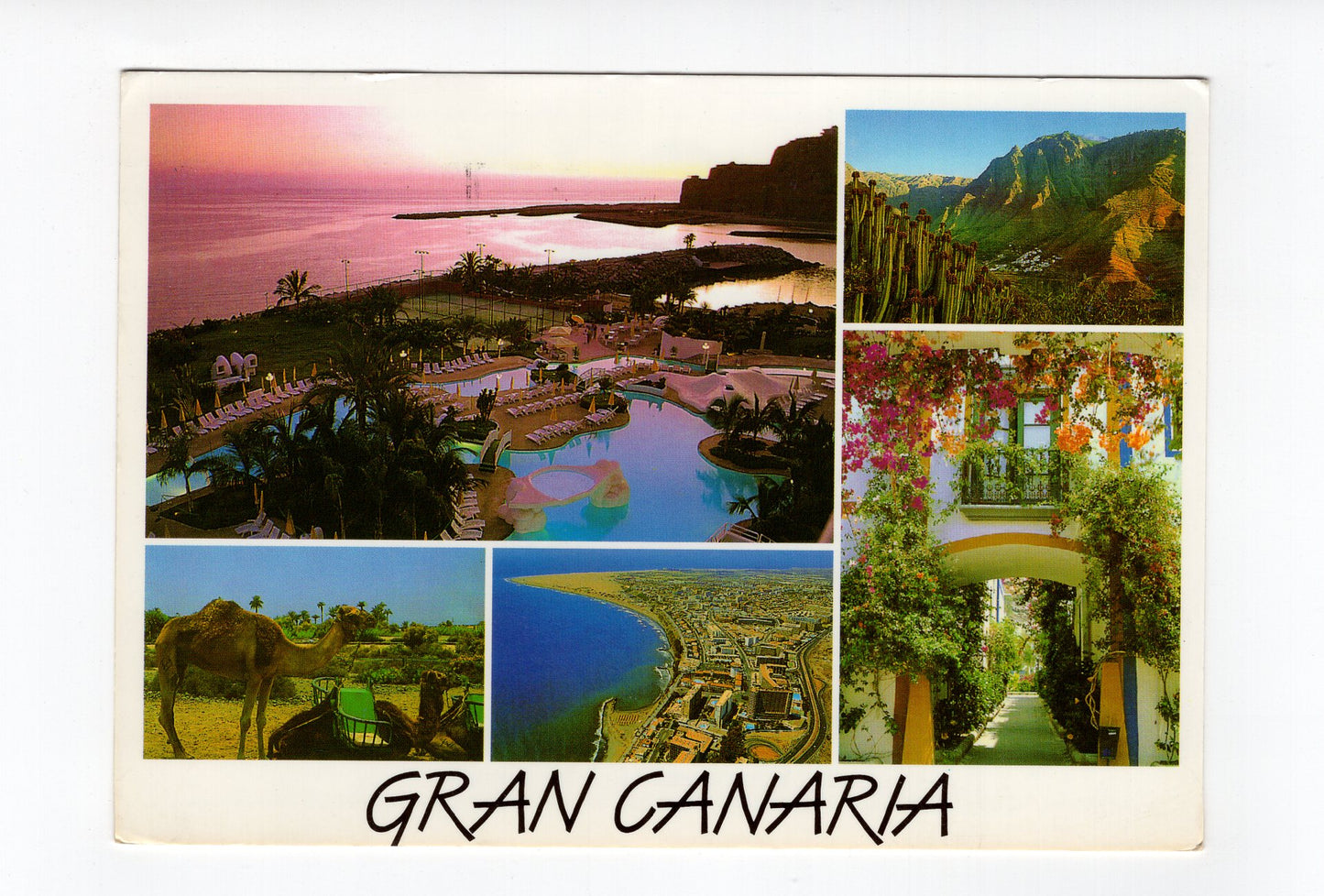 Ansichtskarte Gran Canaria / Spanien