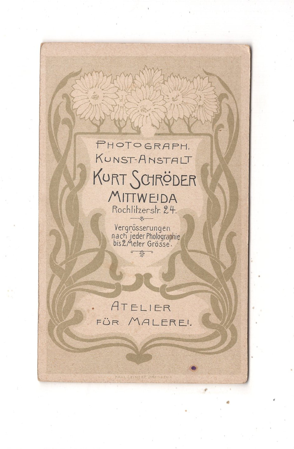 Fotografie Feine Dame - Mittweida um 1900