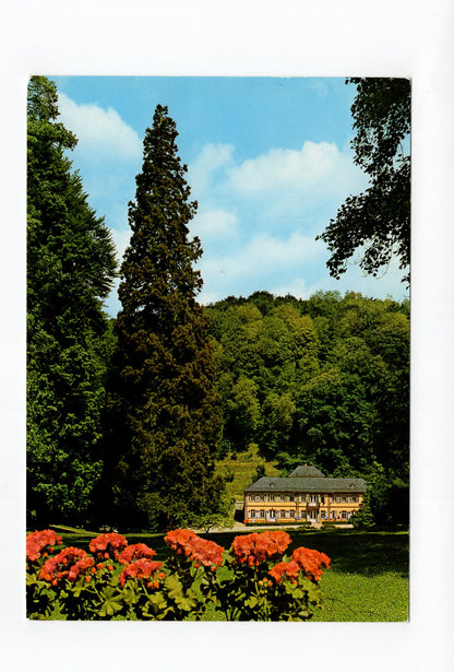 Ansichtskarte Bensheim-Auerbach / Mammutbaum beim Herrenhaus
