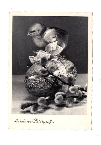 Ansichtskarte Feiertage / Frohe Ostern / L1-53