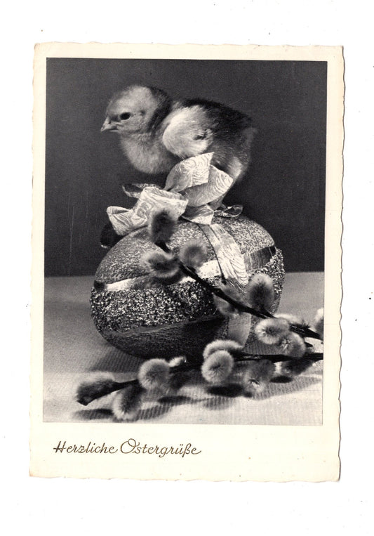 Ansichtskarte Feiertage / Frohe Ostern / L1-53