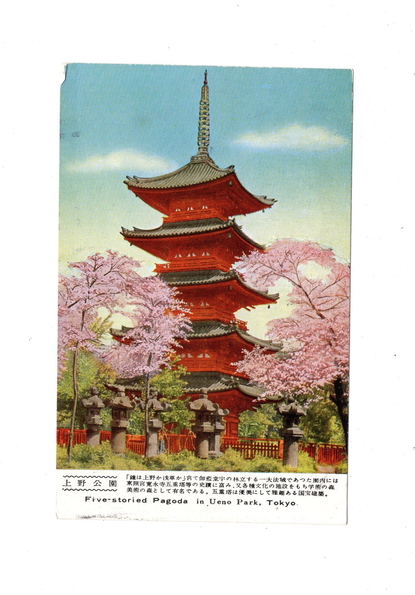 Ansichtskarte Five-storied Pagoda in Ueno Park / Tokio / Japan