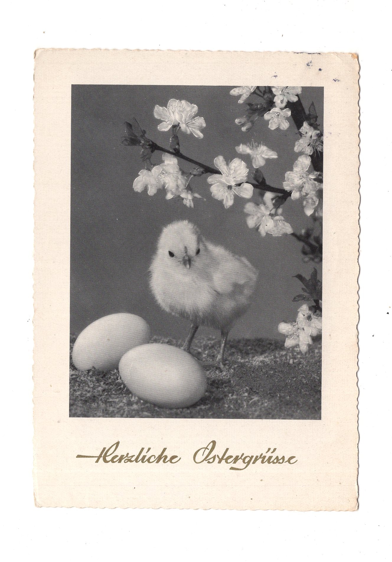 Ansichtskarte Feiertage / Frohe Ostern / L1-53