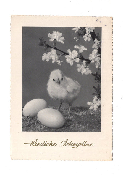 Ansichtskarte Feiertage / Frohe Ostern / L1-53