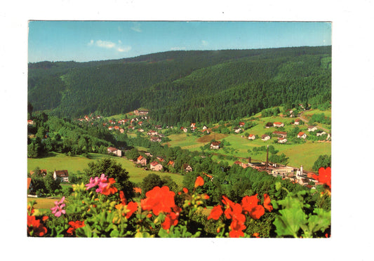 Ansichtskarte Warmensteinach im Fichtelgebirge / H1-68