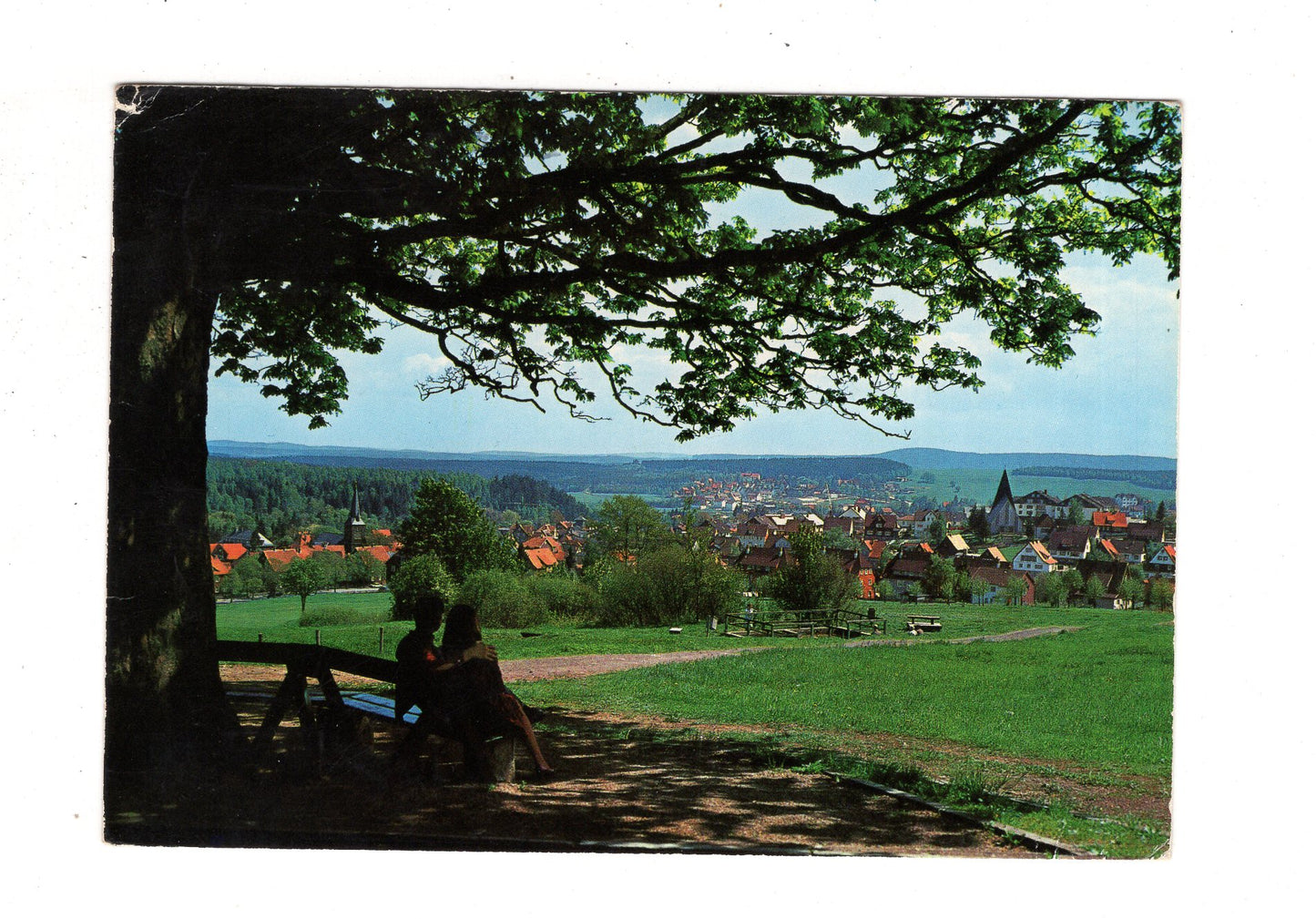 Ansichtskarte Braunlage im Oberharz / Blick von der Rosentalbank / J1-62