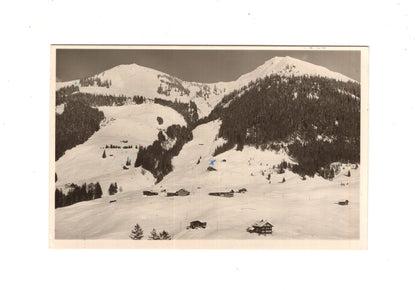 Ansichtskarte Kleinwalsertal / Deutsches Haus bei Mittelberg / Österreich