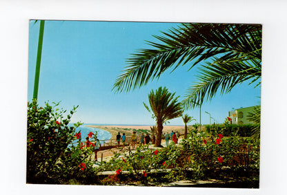 Ansichtskarte Playa del Ingles / Gran Canaria / Spanien