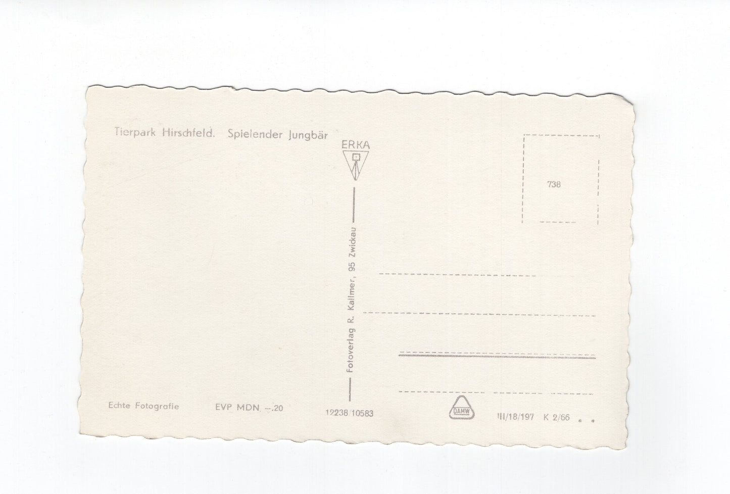 Ansichtskarte Tierpark Hirschfeld / Spielender Jungbär