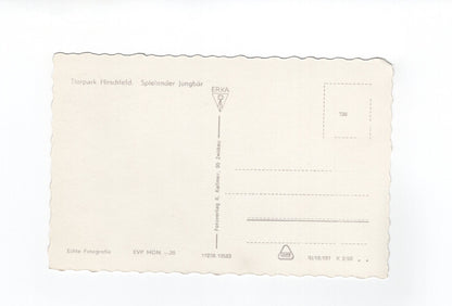 Ansichtskarte Tierpark Hirschfeld / Spielender Jungbär