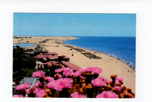 Ansichtskarte Playa de Maspalomas / Gran Canaria / Spanien
